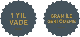 Altın Kredisi